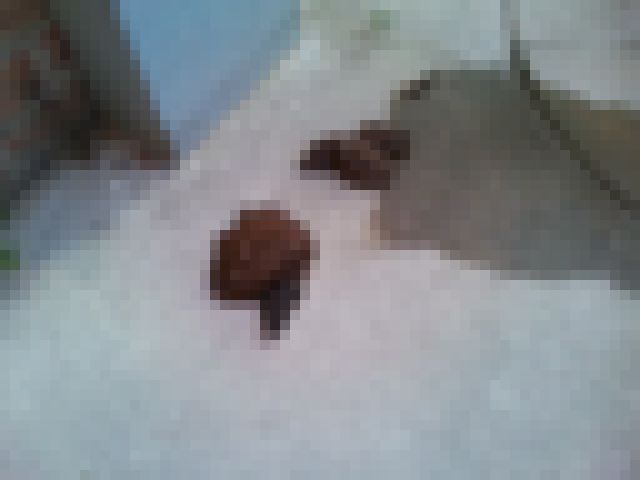 kako-Jg0Vj2gDxeCsNxbt