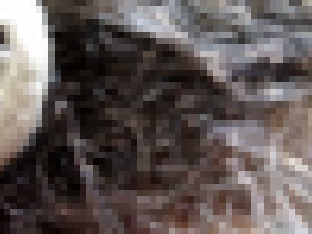 kako-WZ3iS3PlJINgHxeF