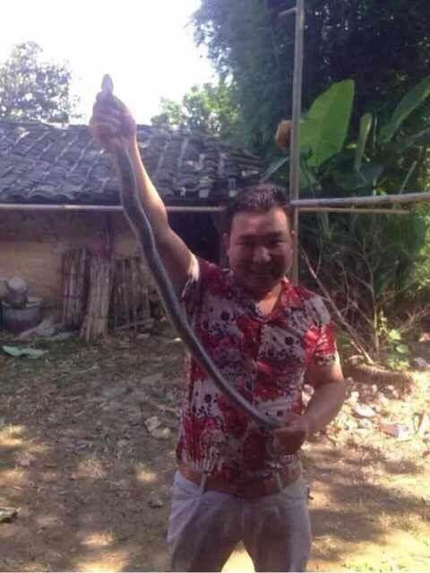 kitaec-pojmal-jadovituju-zmeju_01