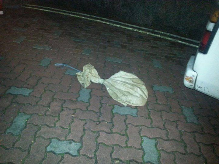 piton-protiv-kobry_12