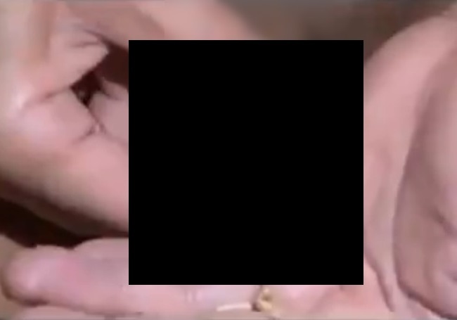 1DZnG5mEBAg9Y0_1445430642