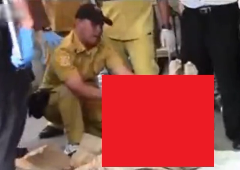 2p4ikp69Ff2cFEL1444373543