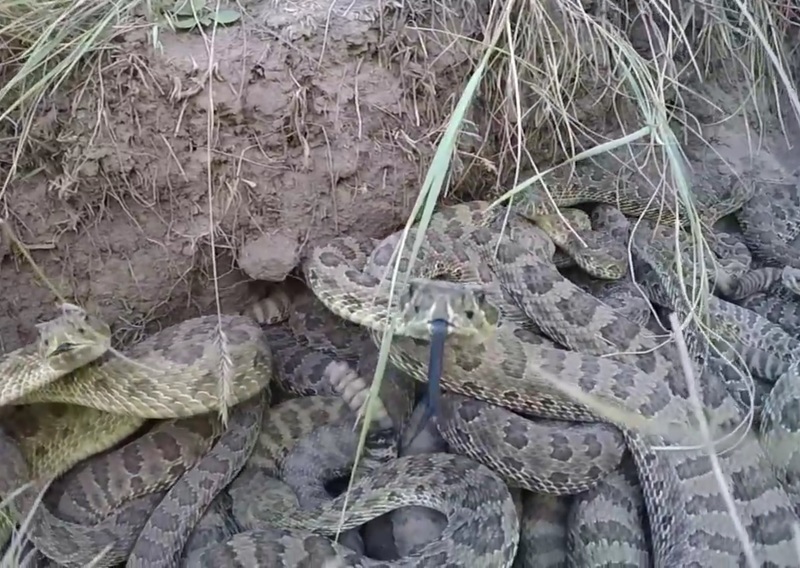 JjFjXMbFzd5rPxf1445322025