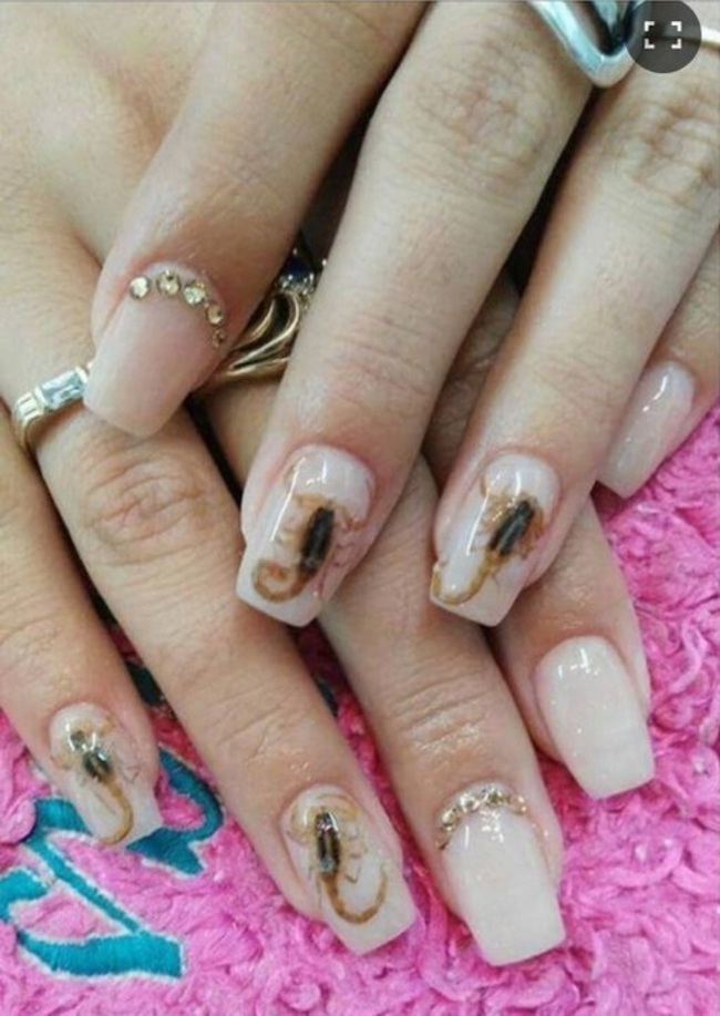 SxCYpVJ2KJkOw_y1444888536_1444888543