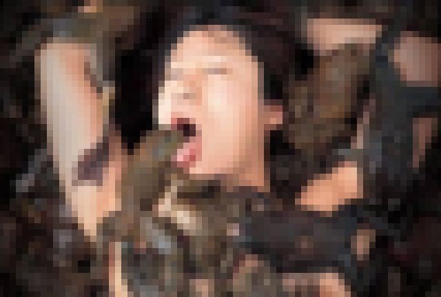 kako-WSs22QDoYw9i3MyR