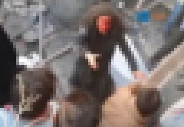 kako-uL4DMAhXY8o8seMj