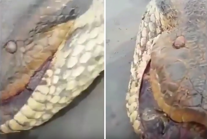 mHq3gqgLjPMatMr1444284929