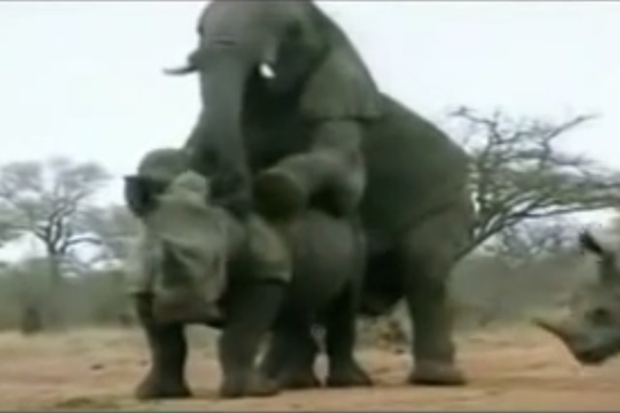 poVMKdn7xBLJA4D1444784985_1444784992