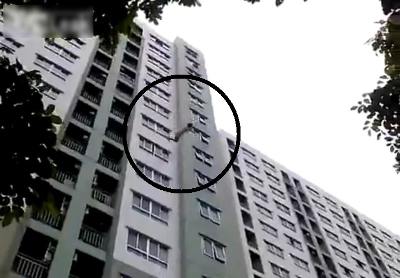 yG5ZRurrTHqLZ5i1444184066