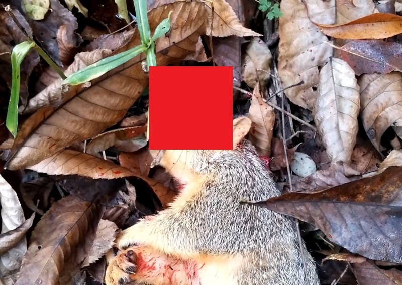 C9yLi4C5R0Souia1446385423