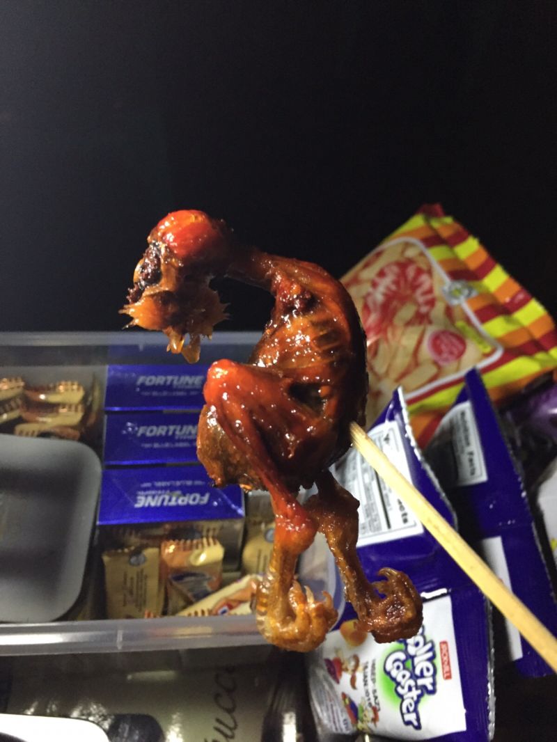 cyplenok-odnodnevka-na-palochke_03