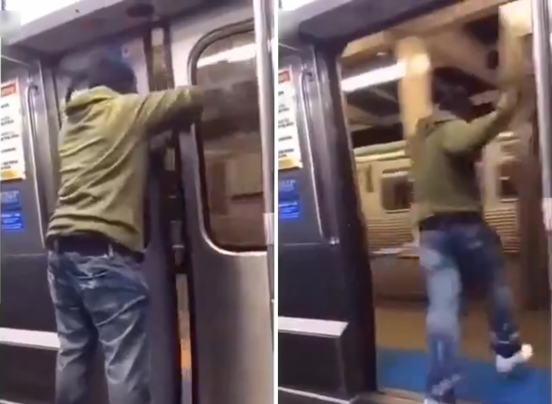 Reivur1fRz8fZad1451178095