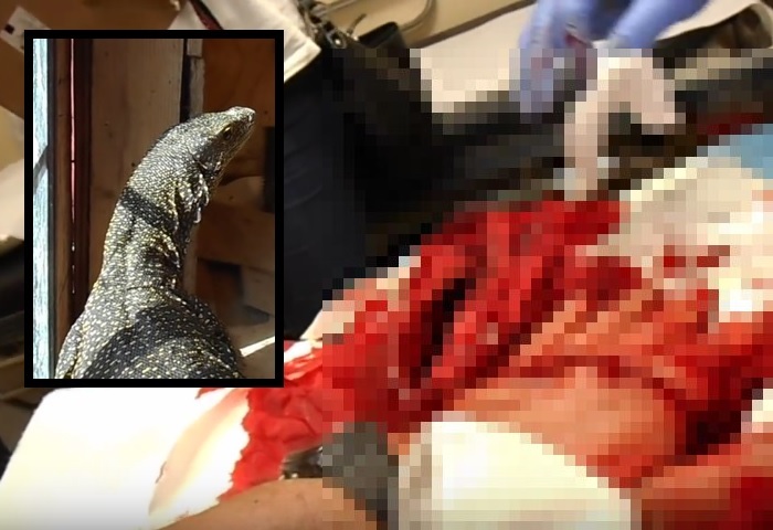 nesLbwveAWQm2l31449415092