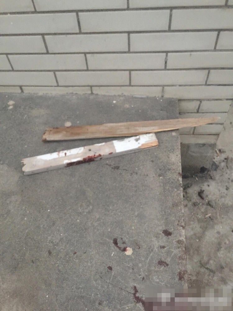 sobaki-posle-medicinskih-jeksperimentov_05