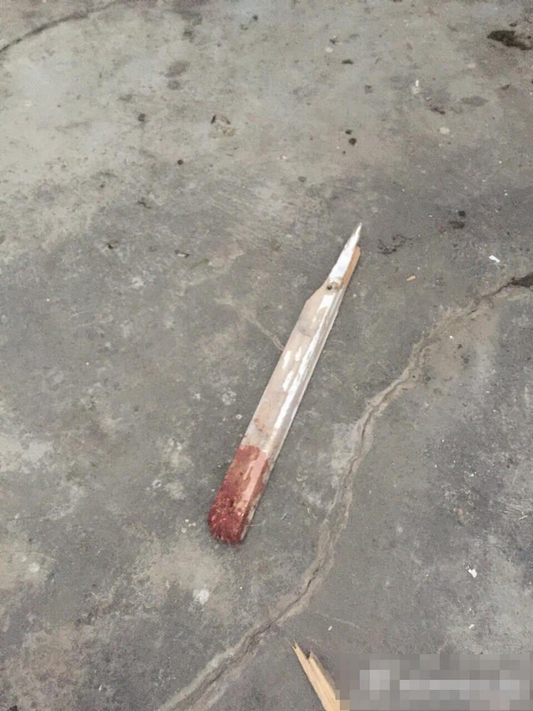 sobaki-posle-medicinskih-jeksperimentov_17