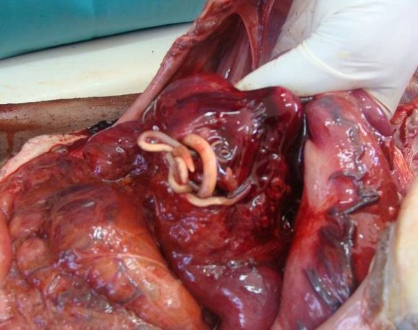 FYIk7mxklE6pDBH1453507907_1453507915