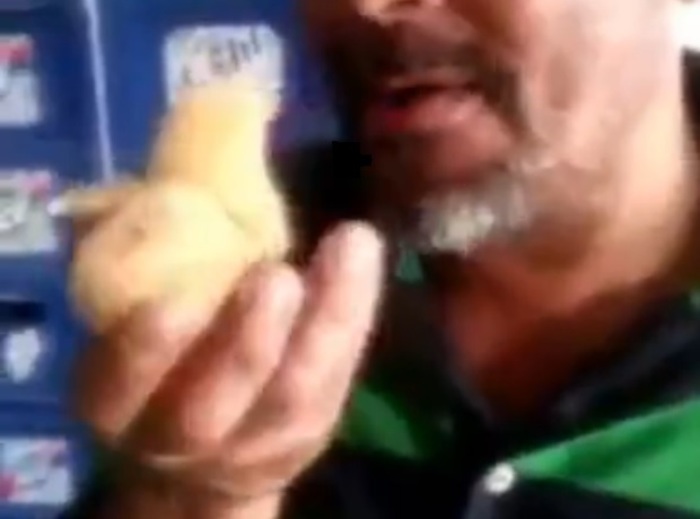 OI_VyPEqBB8gjNj1453204217_1453204222