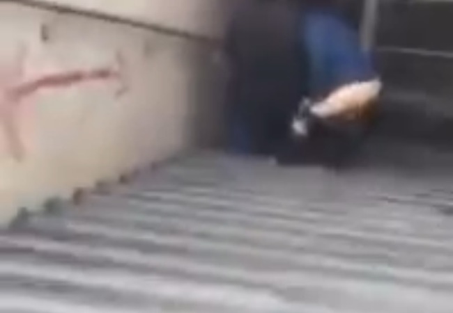 【動画】野外で手コキしてる変態カップルに近付いた結果・・・