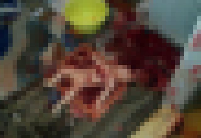 【閲覧注意】生後２か月半の娘の心臓を取り出して食べる、とかいう恐ろしい事件