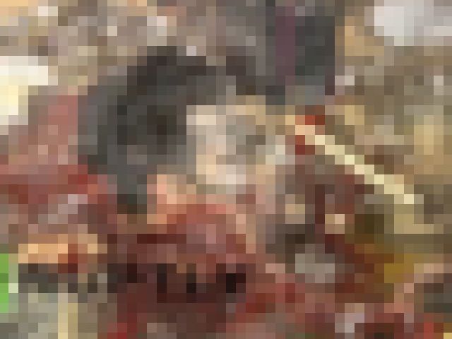 【閲覧注意】ショッピングセンターにISIS（イスラム国）がやって来たらこうなる