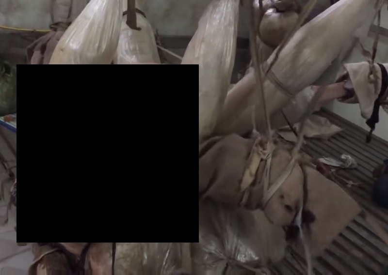 Ep2NXvzQQ3QSGEM1456103534