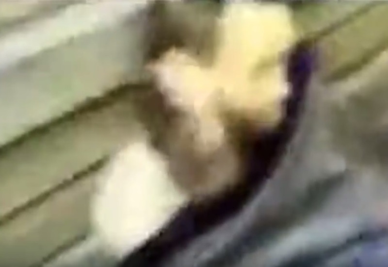 Fcy5KYYy02mLQxf1455007774_1455007791