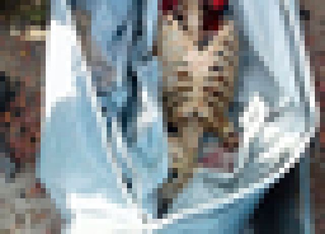 kako-HWyBNKFA6qzKruKp