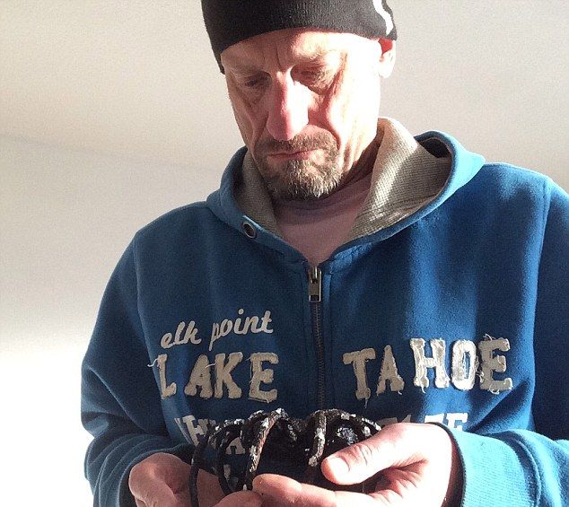 posledstvija-ukusa-skorpiona_01