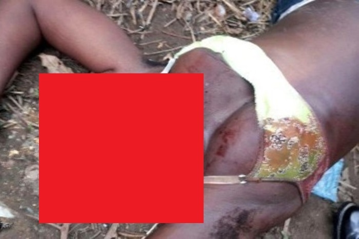 r8HsOR3J78XwOq61455102697