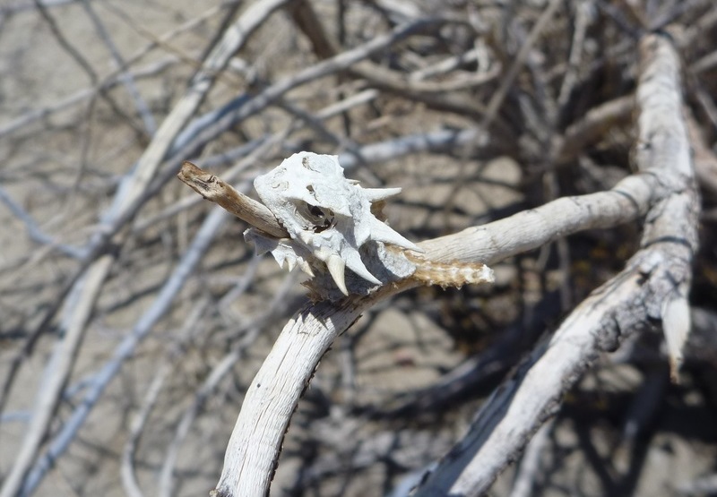 x9bHFpX8W6Zd0du1455672480