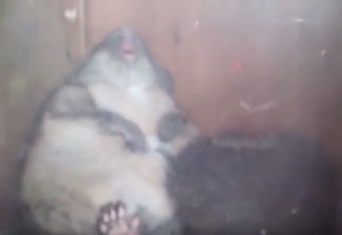 Az_sQ2nkoPw1yQZ1457229888