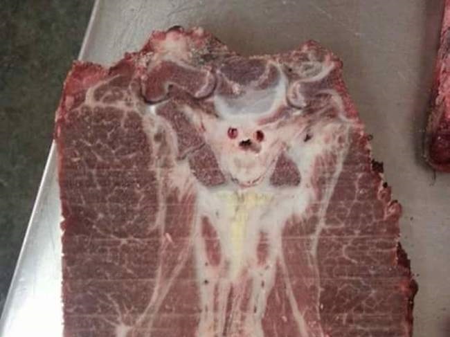 F4JIUHmT0MbDfJo1458971862