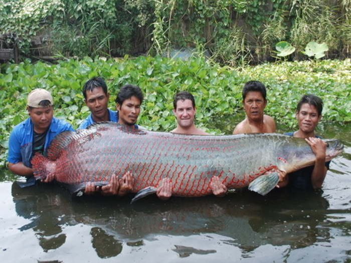 【閲覧注意】巨大魚、陸上で人間に勝つ