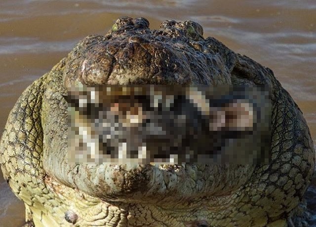 sP5NhjTGRFeSPP81458187861