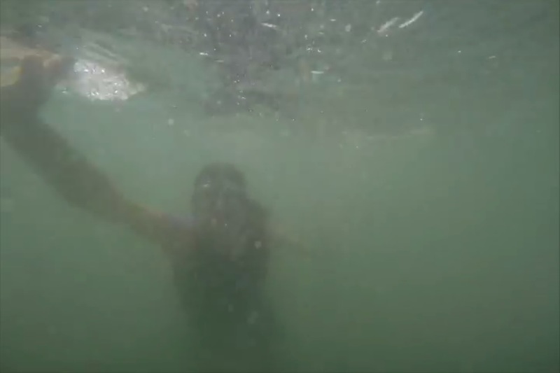 ニュージーランドの恐ろしい海水浴場「どこにサメがいたでしょう？」（動画）
