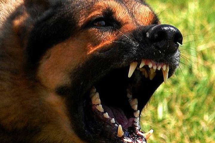 狂犬病の人に水を飲ませようとした結果・・・（動画）