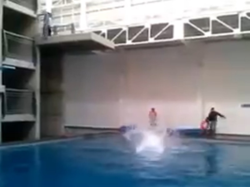 DYWOvazOwgPTnx81459574120_1459574127