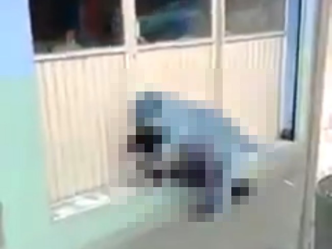 わたしたちの常識を超えた ”セ○クス” の映像が撮影され話題に