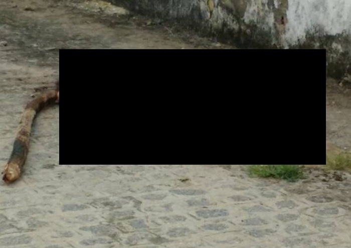 【閲覧注意】18歳の女の子、レ●プされた可能性・・・