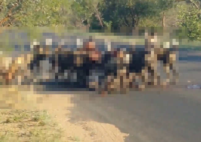 flGaT77BiVHZ6f21461985669