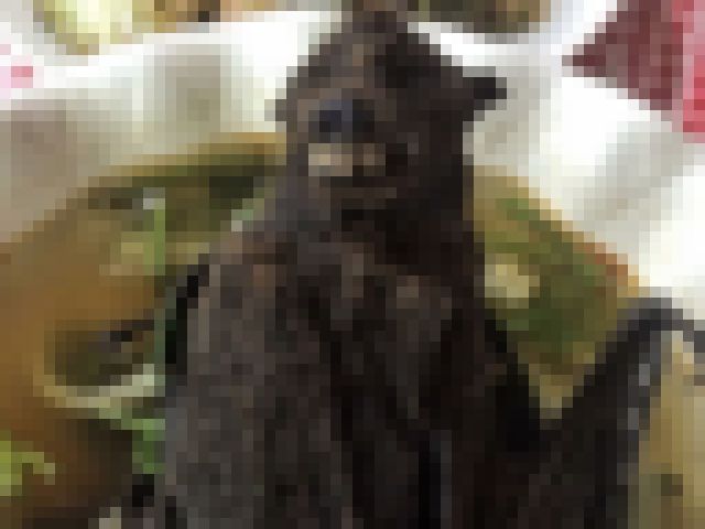 kako-xS01aIfYstYuFQwG