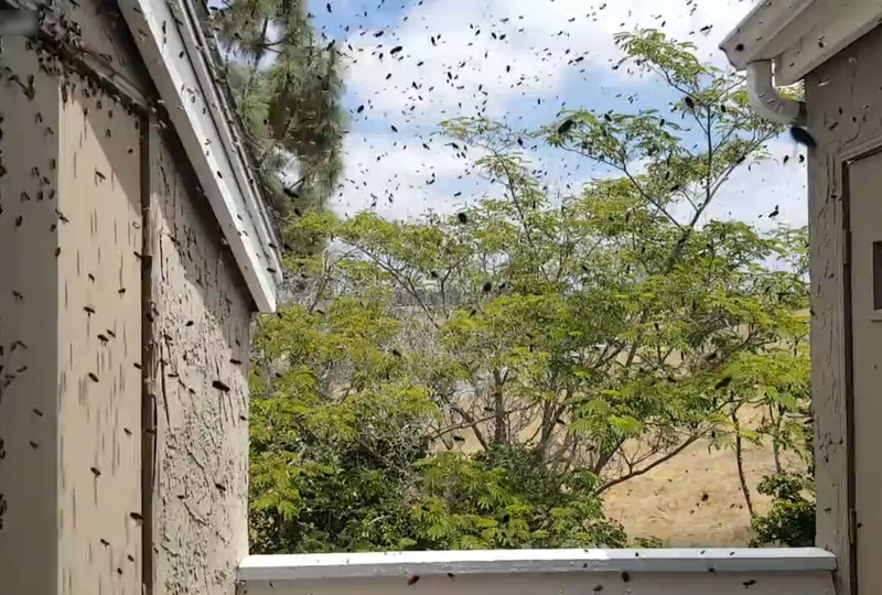 04Ch1Kb4CNROd_V1463116304