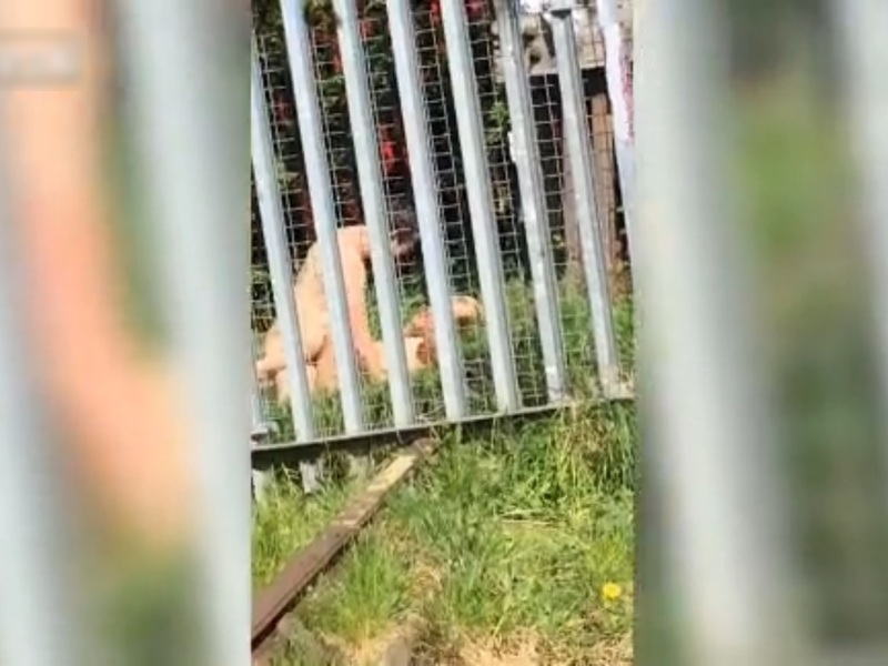 全裸カップルが ”凄い所” でセ○クスしてる・・・（動画）