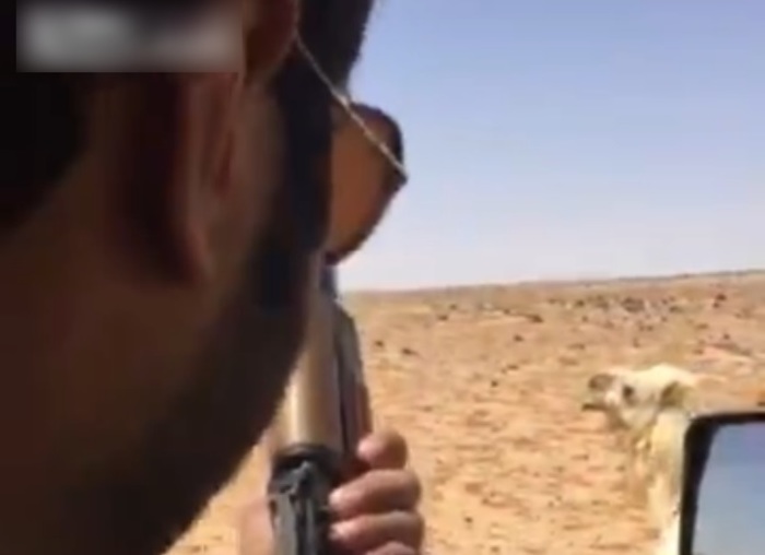 fUiAclk5GRKEvax1463972209_1463972213