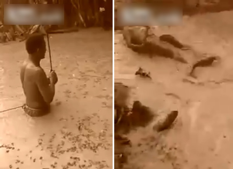 nS8Fe3WlnKrCFQ71464064796