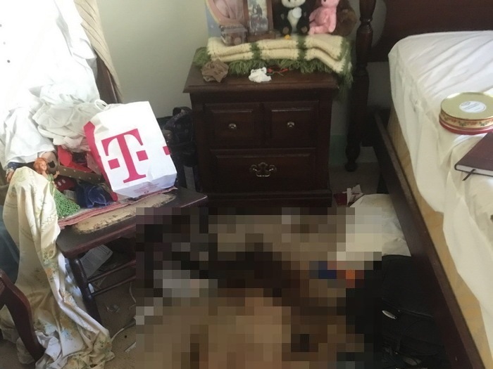 t8aLWS0RXJL2XEb1462873802