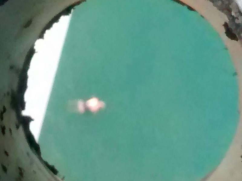 【閲覧注意】この ”女性” の身体を調べた結果・・・（画像）