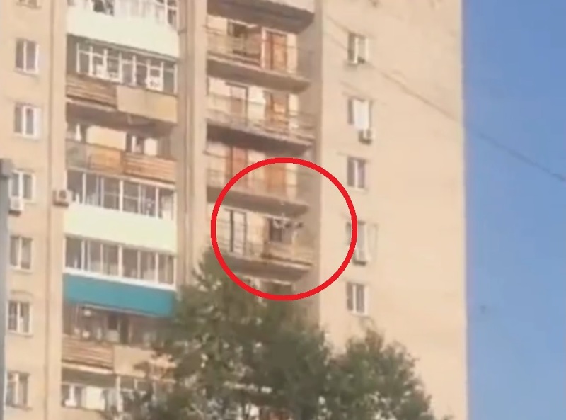 GyaYOhsTOUWsQC21467084284