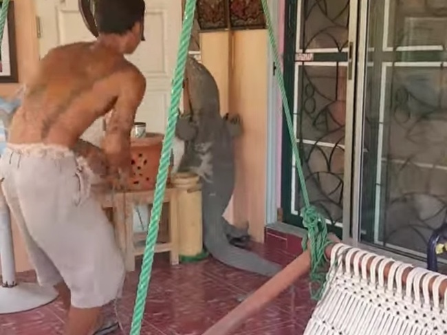 玄関の前に、マジで恐ろしい生き物がいた（動画）