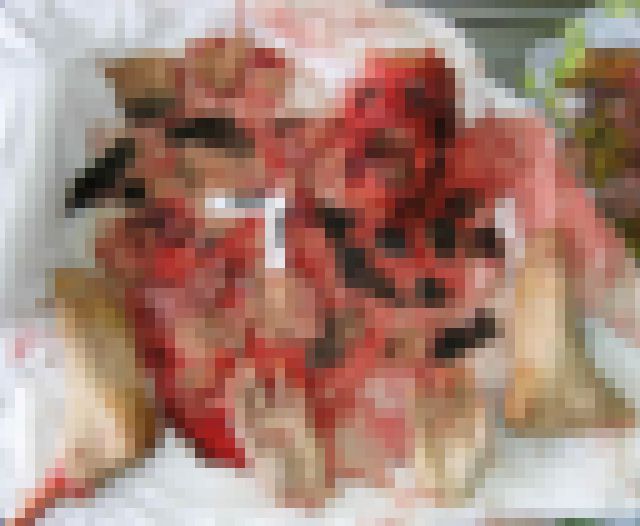 kako-1HuDxXE6rP6Dopuw